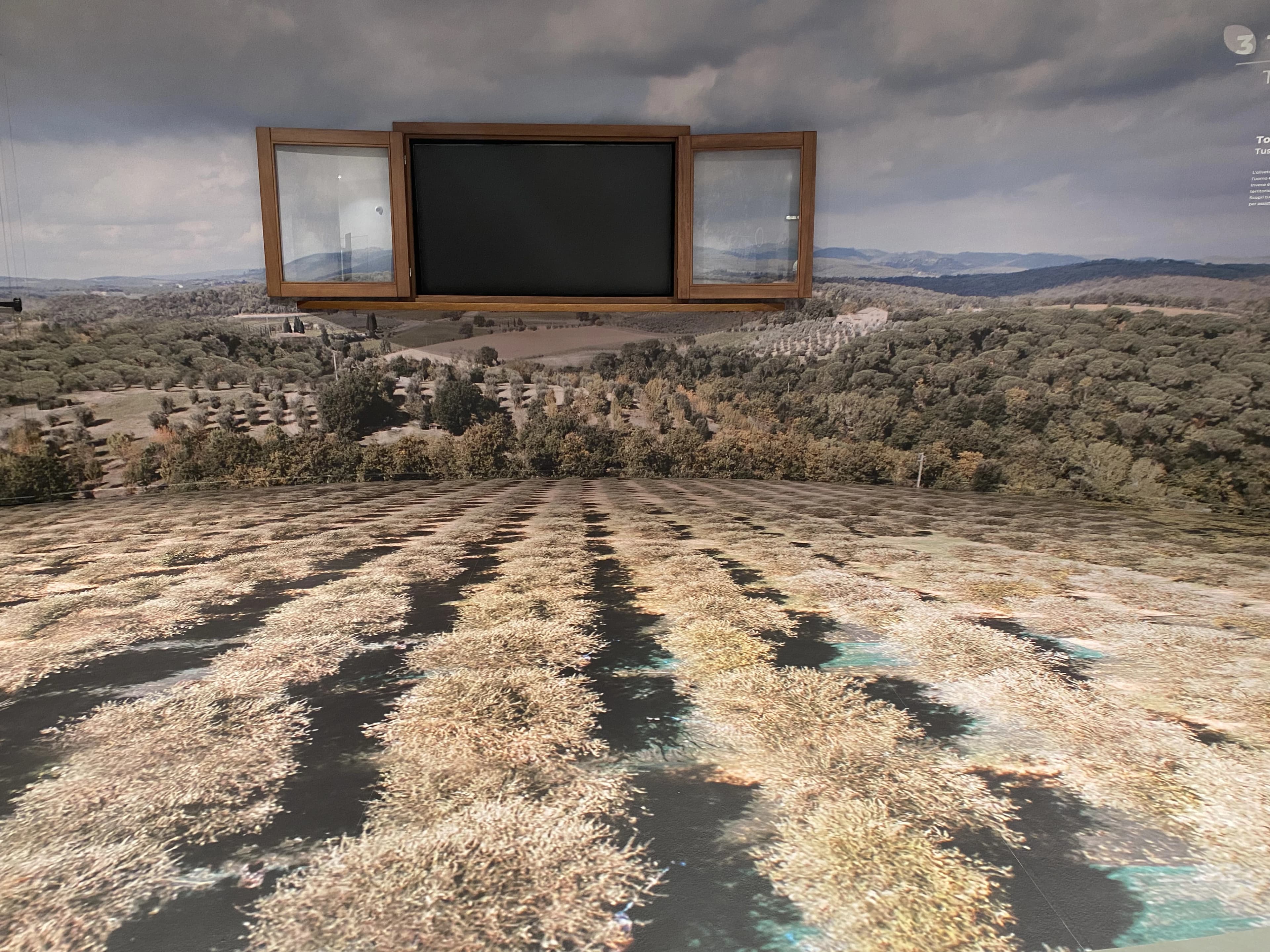 Parete immersiva con vista campi